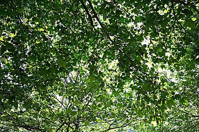 《星球大战：亡命之徒》“王牌莫测”DLC现已发布