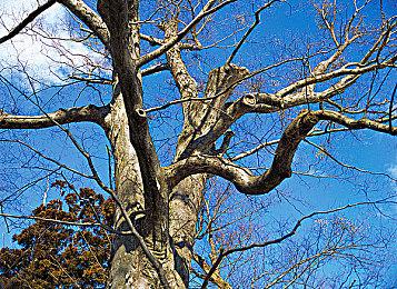 《MX vs. ATV：传奇》6月29日上线 实体收藏版公布